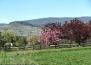 Foothills - Vernon